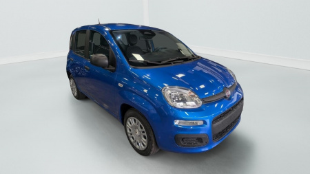 362546_p2 - FIAT - PANDA - 2025