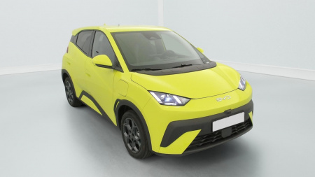 378136_p2 - BYD - DOLPHIN SURF - 2025