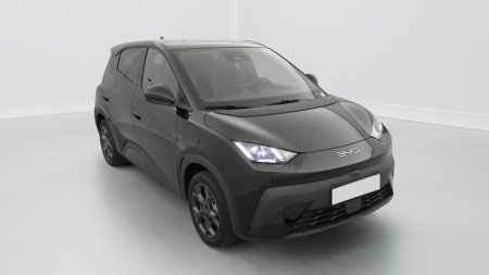 378161_p2 - BYD - DOLPHIN SURF - 2025