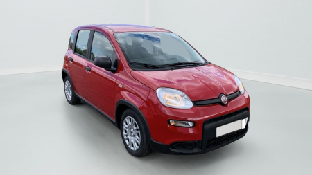 381074_p2 - FIAT - PANDA - 2024