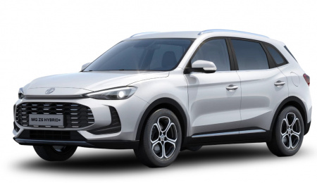 GLI00033634_p53 - MG - ZS - 2026