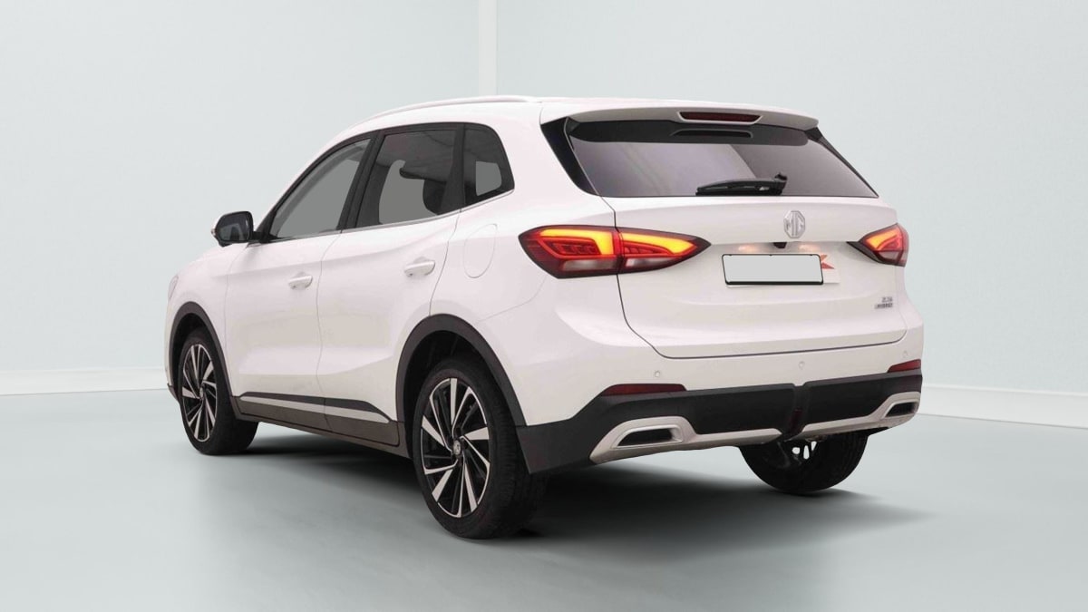 387874_p2 - MG - ZS - 2026 - photo 4
