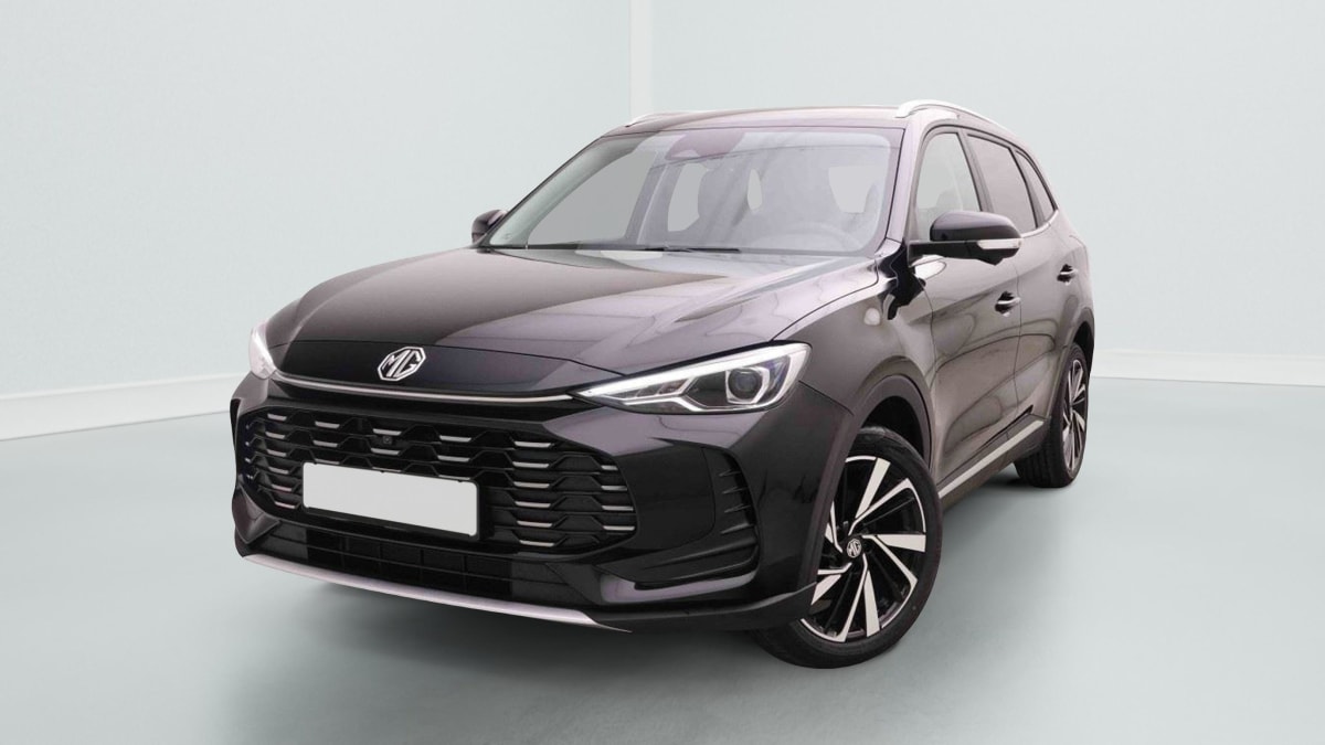 379231_p2 - MG - ZS - 2026 - photo 1